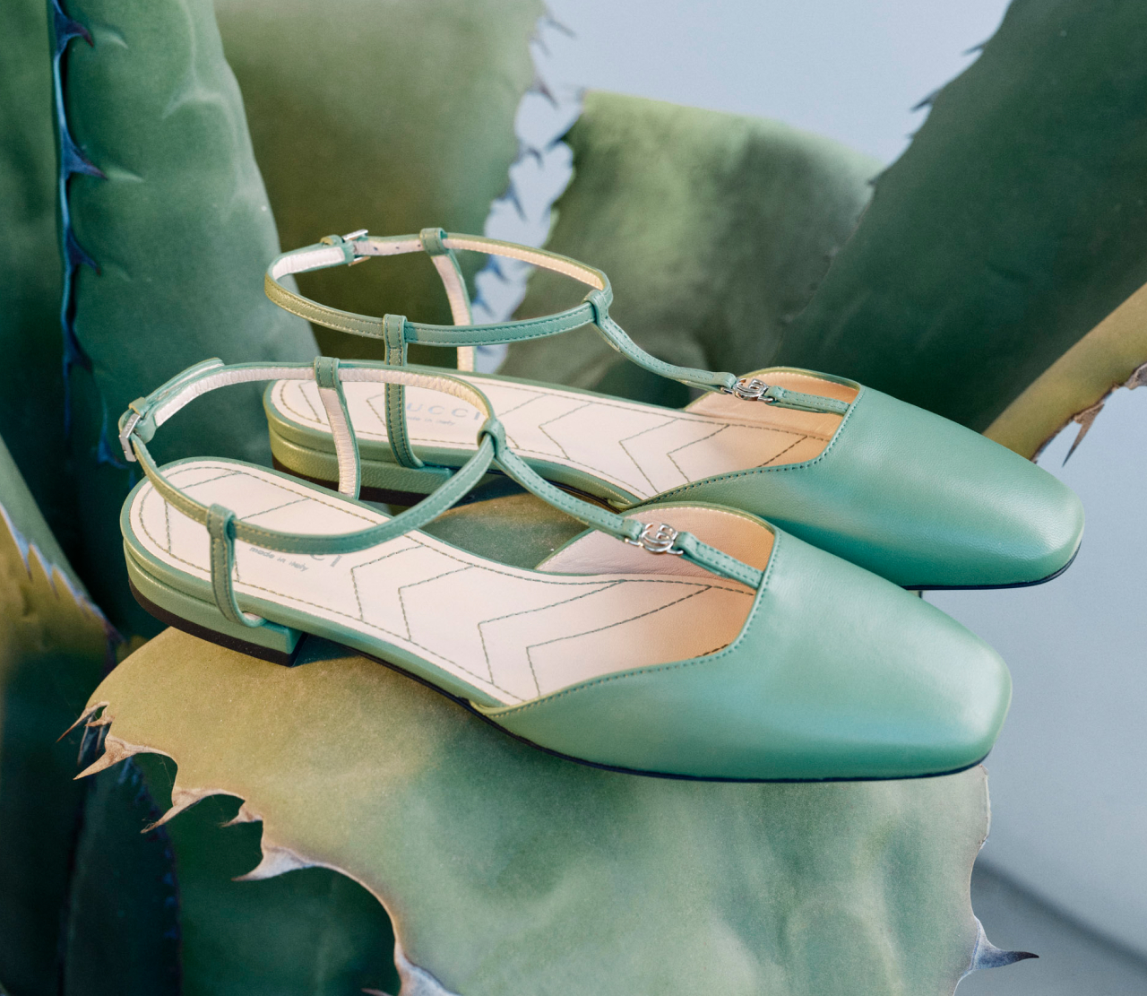 shoesedit