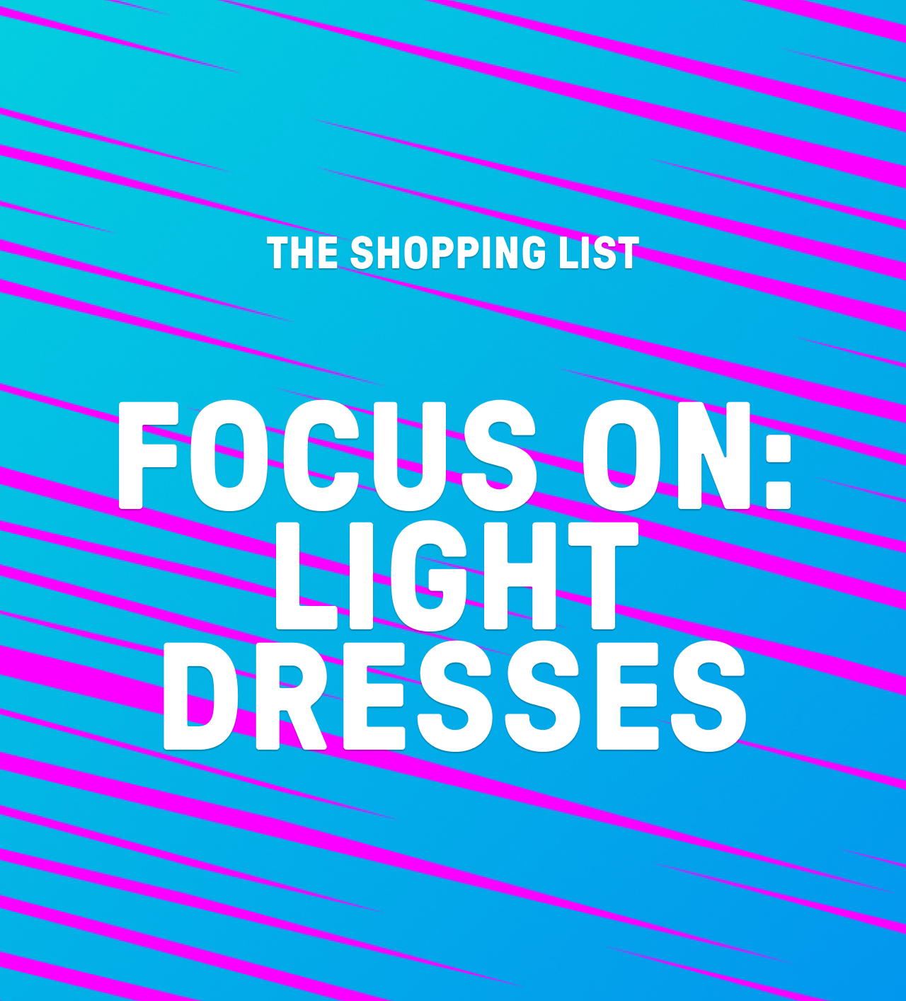 THE SHOPPING LIST