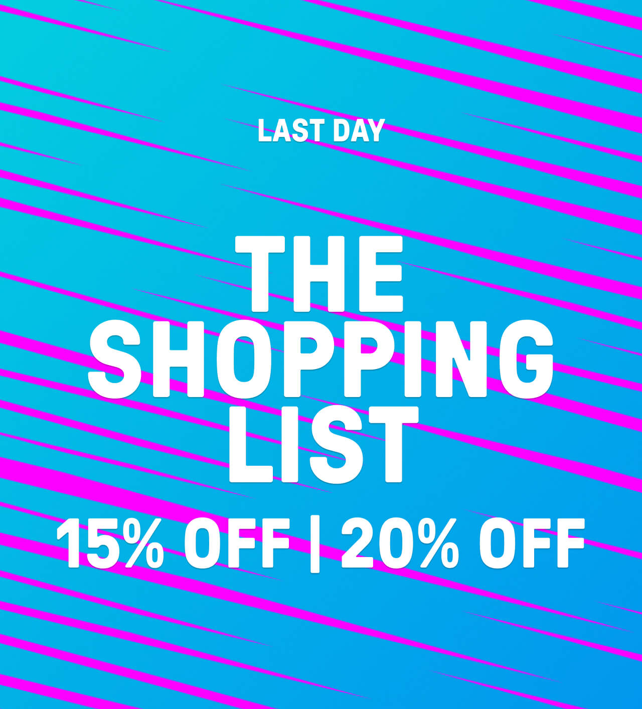 THE SHOPPING LIST