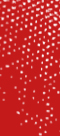 RED PATTERN