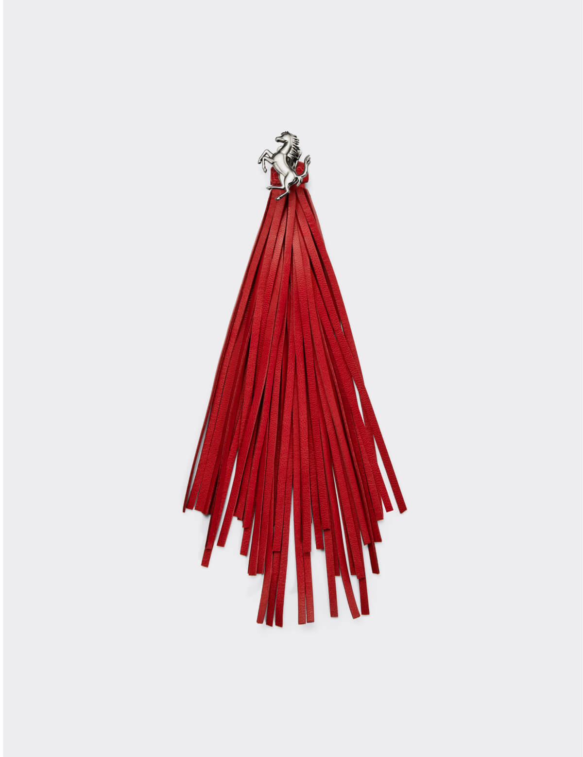 Tassel earrings